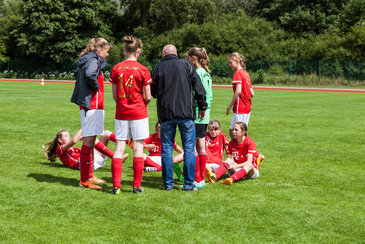 Bild 263 - C-Juniorinnen Landesmeister Finale SV Wahlstedt - TuRa Meldorf : Ergebnis: 1:4